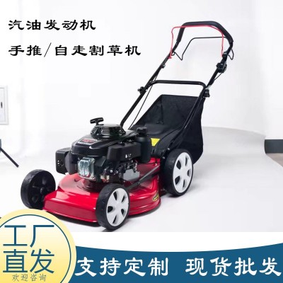 廠家直供自走手推割草機(jī) 汽油四沖程雜草修剪機(jī) 家用汽油草坪機(jī)
