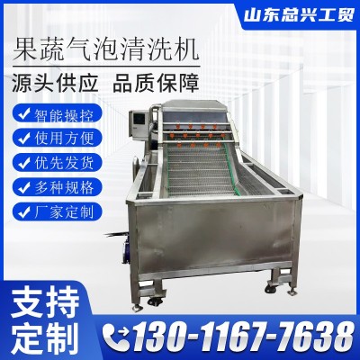 水果全自動氣泡果蔬沖浪機(jī) 雞爪整雞清洗設(shè)備不銹鋼渦流清洗機(jī)
