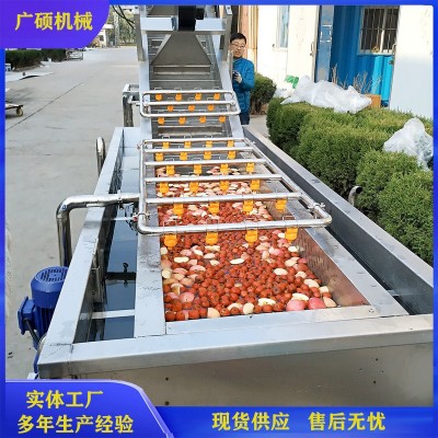 全自動(dòng)氣泡葡萄清洗機(jī) 無(wú)花果清洗設(shè)備 大棗蘋果桃子清洗機(jī)器