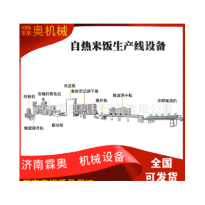 霖奧速食自熱米飯生產(chǎn)機(jī)器 人造復(fù)合營(yíng)養(yǎng)米加工設(shè)備 食品膨化機(jī)械