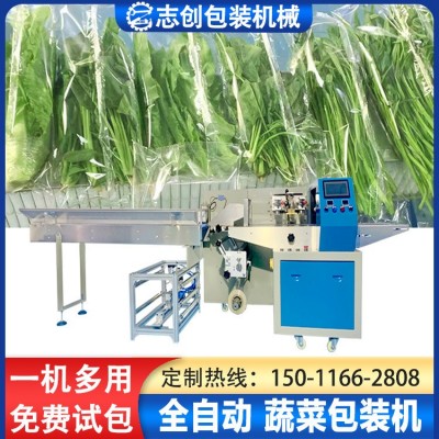 全自動枕式蔬菜包裝機 生鮮青菜瓜果裝袋打包機 超市葉菜包裝設(shè)備