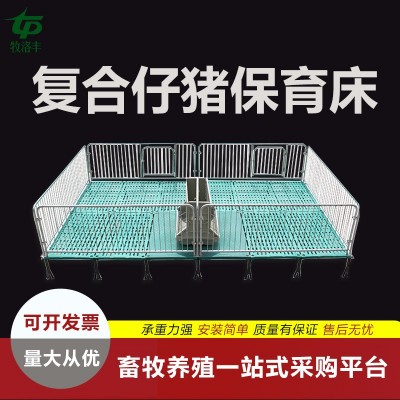 全復(fù)合豬用保育熱鍍鋅仔豬保育欄養(yǎng)殖設(shè)備牧洛豐