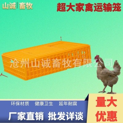 加長加厚成雞籠 家用雞鴨鵝周轉(zhuǎn)箱 特大號運輸籠塑料籠矮鴿鵪鶉籠