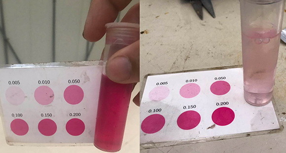 16藍(lán)靈的純氧溶氧器為何“難產(chǎn)”？1