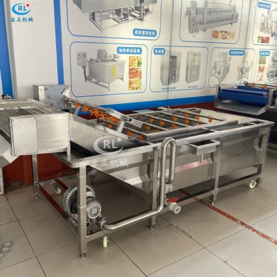 廠家供應(yīng)魚皮清洗機(jī) 鼓泡式帶魚黃花魚去血水設(shè)備 全自動(dòng)洗魚機(jī)