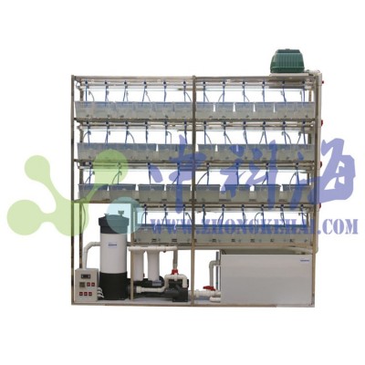 斑馬魚飼養(yǎng)系統(tǒng)，水生物實(shí)驗(yàn)系統(tǒng)