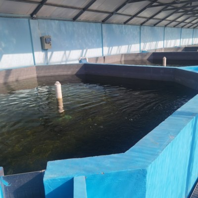 曝氣增氧系統(tǒng)水產(chǎn)養(yǎng)殖系統(tǒng)設(shè)備室內(nèi)育苗養(yǎng)殖設(shè)備水產(chǎn)增氧曝氣