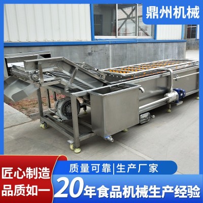 全自動凈菜加工成套設備 果蔬氣泡清洗機 瓜果西紅柿去泥清洗機