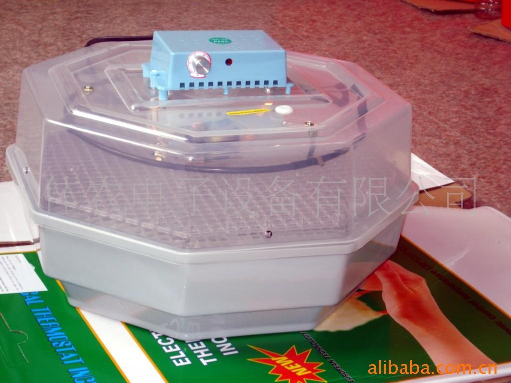 供應(yīng)微型孵化箱，孵化機(jī)，孵化器