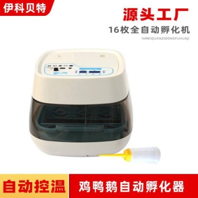 伊科貝特16枚孵化機全自動家用型小雞鴨鵝小型孵化器鳥蛋孵化箱