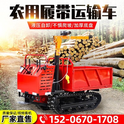 3噸履帶運輸車山地爬山虎農(nóng)用自卸車小型爬坡王全地形履帶運輸車