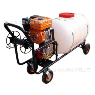 黃石 農(nóng)藥高壓打藥機(jī) 手推式打藥機(jī) 農(nóng)用小型推車噴霧機(jī)2
