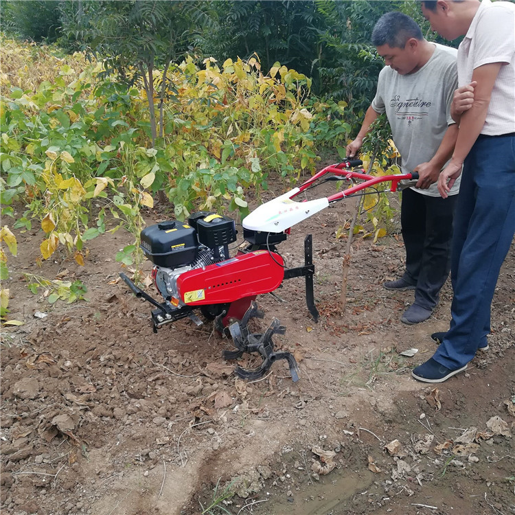 汽油耕地趟田機