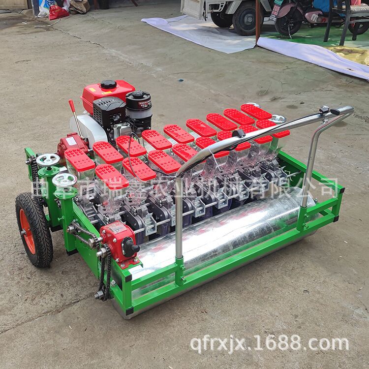 汽油雙排蔬菜精播機(jī)