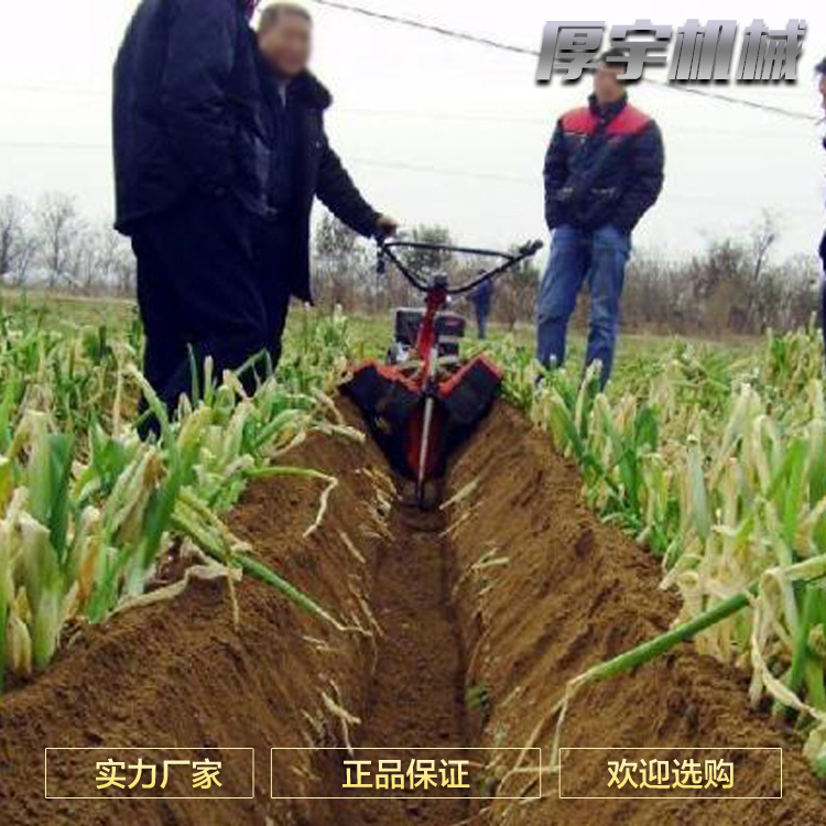 開溝機現(xiàn)場