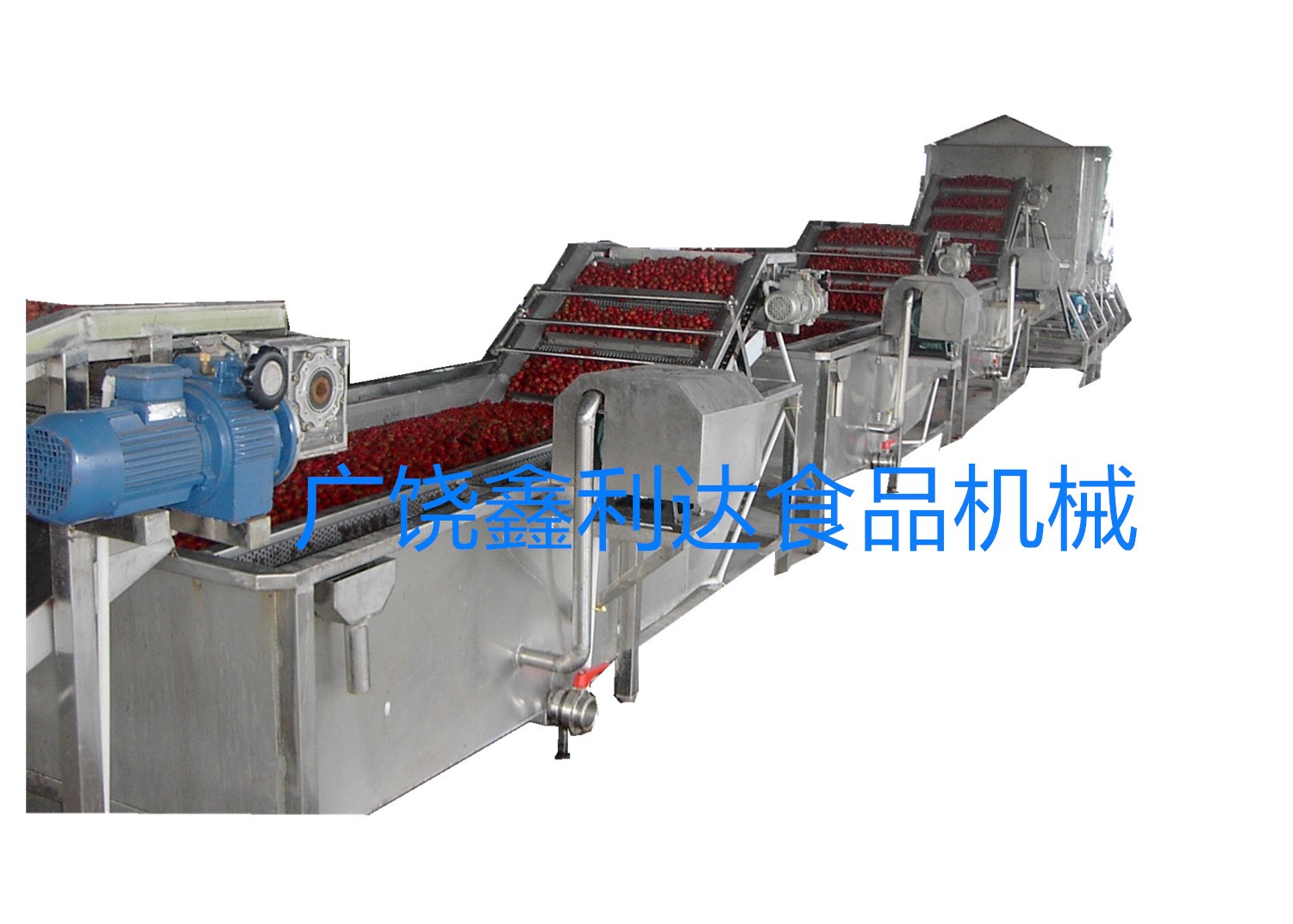山楂清洗機(jī) 山楂清洗設(shè)備 山楂漂燙設(shè)備