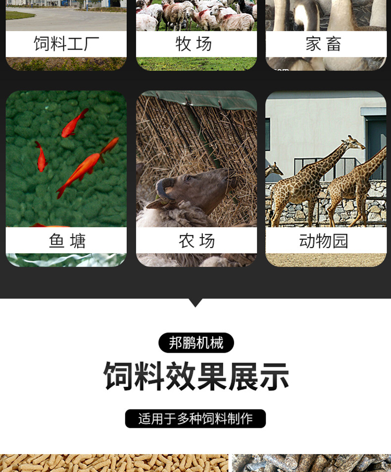 飼料顆粒機(jī)_08