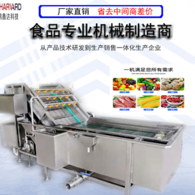 罐頭廠旋流清洗機供應 蘋果橘子洗果機 食品廠加工生產流水線