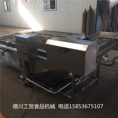 高壓噴淋菠菜氣泡清洗機(jī) 蘋果氣泡清洗機(jī) 小龍蝦氣泡清洗機(jī)