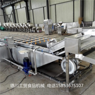 花生毛豆氣泡清洗機(jī) 中藥材氣泡清洗設(shè)備 西紅柿氣泡清洗機(jī)