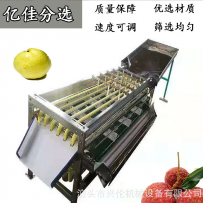 無(wú)花果分揀機(jī) 臍橙選果機(jī) 不銹鋼材質(zhì)斜板出料果蔬分選設(shè)備