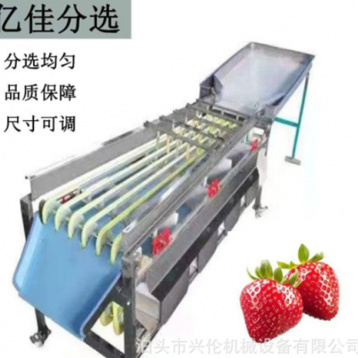 檳郎分級(jí)機(jī)冬棗篩選機(jī)橄欖分揀機(jī)山楂篩果機(jī)獼猴桃分選機(jī)