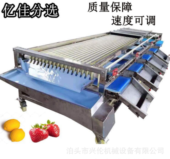 臍橙篩選機(jī)百香果分揀機(jī)核桃分級(jí)機(jī)李子分果機(jī)皮帶式分選機(jī)