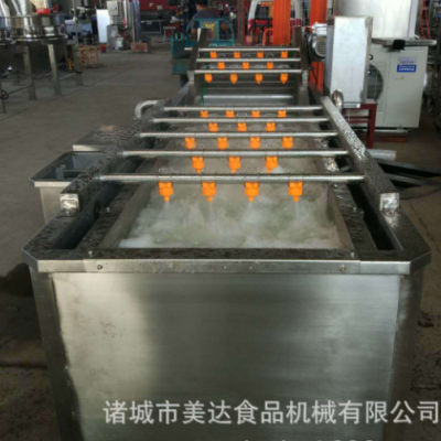 商用食品蓮藕果蔬氣泡清洗機(jī) 全自動(dòng)氣泡噴淋紅薯清洗設(shè)備