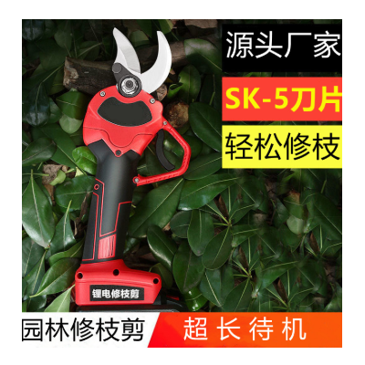 電動(dòng)修枝剪園林剪刀果樹(shù)樹(shù)枝剪鋰電剪果樹(shù)修枝剪刀電動(dòng)修枝剪
