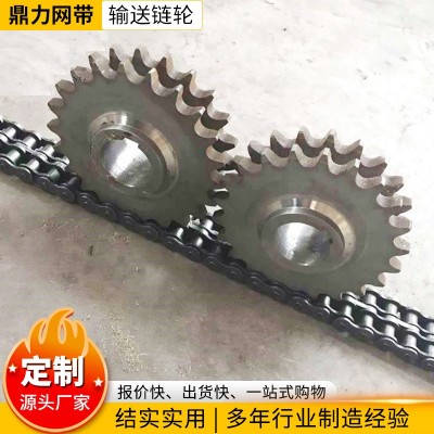 大節(jié)距輸送鏈條鏈輪 單雙排機(jī)械配件工業(yè)鏈條不銹鋼鏈輪工業(yè)齒輪