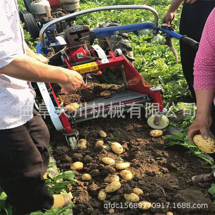 紅薯收獲機閃圖05