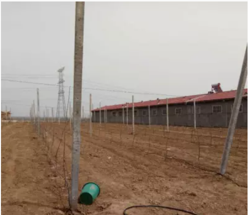 陜西滴灌管價(jià)格_陜西滴灌管哪家好_選擇楊凌潤沃價(jià)格低