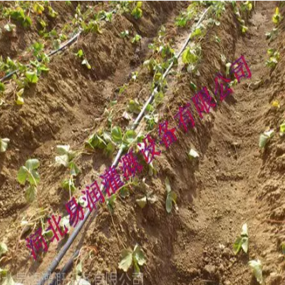 山西按需定制***微灌管，水肥一體化滴灌管