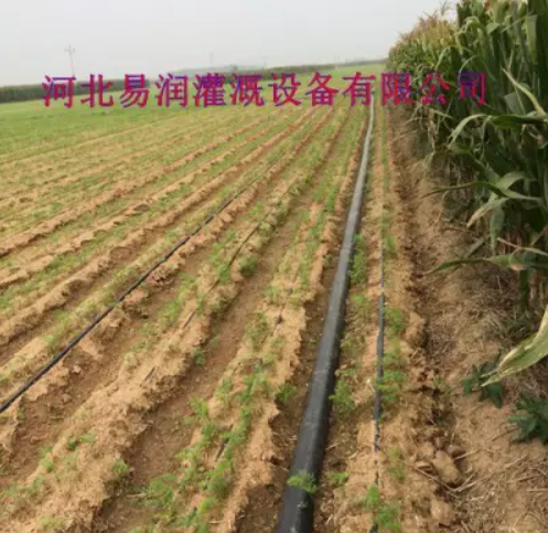 河南準(zhǔn)確灌溉大田滴灌帶 防灼傷塑料滴水扁管