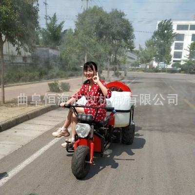 杏樹殺蟲噴霧打藥車 果園可乘式風(fēng)送打藥機 摩托三輪車帶噴霧機
