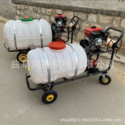 汽油手推式噴霧器 電動(dòng)果園殺蟲機(jī) 大棚拉管式噴藥機(jī)
