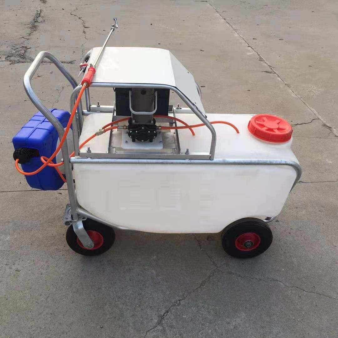 推車式噴霧消毒一體機(jī)手推式電動(dòng)高壓噴霧機(jī) 大棚蔬菜消毒打藥機(jī)