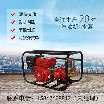 26型噴霧器 30型果園打藥機(jī) 170F汽油機(jī)打藥機(jī)柱塞泵農(nóng)業(yè)機(jī)械藥泵