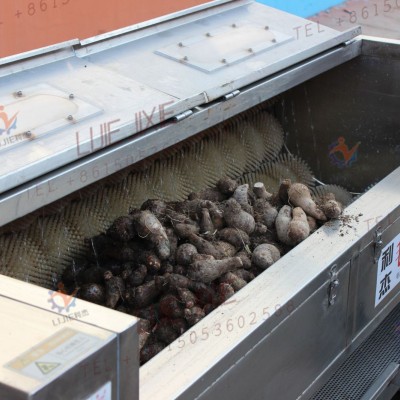 芋頭大棗清洗機(jī) 土豆紅薯毛刷清洗去皮機(jī)哪家好