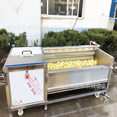 自動清洗去泥機 毛輥去皮機 毛刷清洗機 根莖類清洗加工設備型號