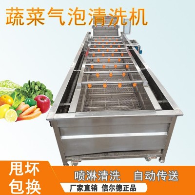 蔓越莓氣泡果蔬清洗機(jī) 全自動(dòng)山野菜蔬菜加工設(shè)備 醬菜脫鹽清洗機(jī)