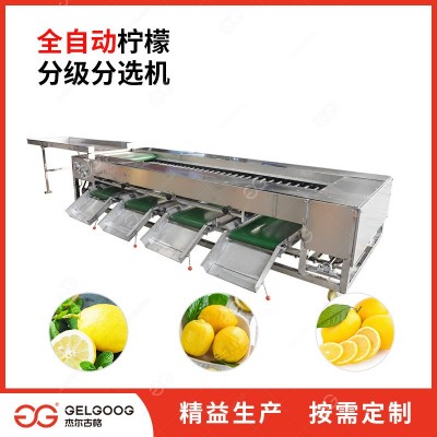 滾杠選果機 臍橙分揀機 果蔬撿果設備 臍橙分選機設備 檸檬分級機