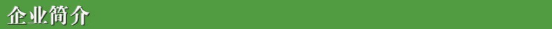 企業(yè)簡(jiǎn)介1.jpg