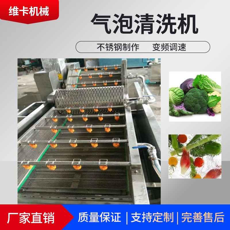 山東維卡機械波浪式瓜果清洗設備 專業(yè)廠家直供氣泡式自動清洗機