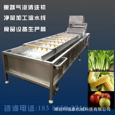 小香蔥氣泡清洗機(jī) 韭菜去農(nóng)殘專用清洗機(jī) 芹菜清洗流水線
