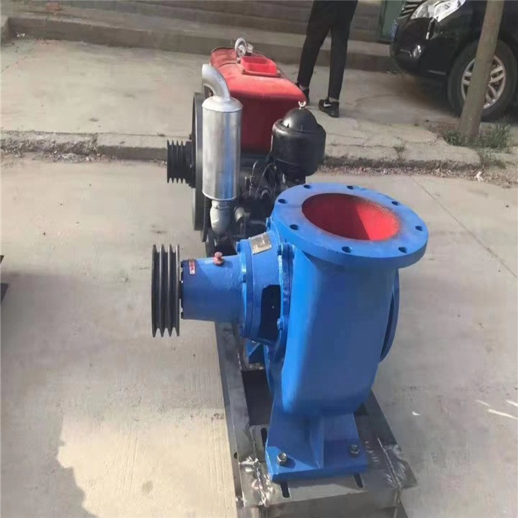 200HW-8大流量臥式混流泵水利工程城市排澇泵柴油機(jī)農(nóng)用水泵