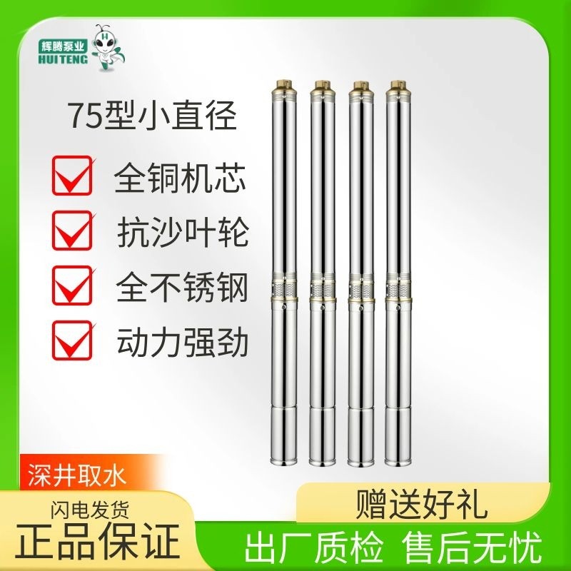 輝騰深井75型3寸潛水泵220v水泵高揚(yáng)程家用小型深水泵井水抽水泵