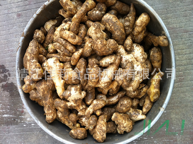 滾筒清洗機（生姜原料）