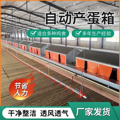 自動產(chǎn)蛋箱 禽畜自動產(chǎn)蛋設(shè)備 廠家供應(yīng)框架式蛋箱