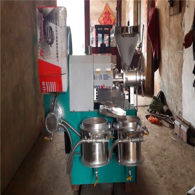 螺旋炸油機(jī)商用自動榨油山茶籽油設(shè)備花生牙麻籽榨油機(jī)廠家批發(fā)